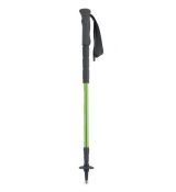 Pinguin | Light TL Foam