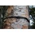 TTTM | Tree Friendly Extender Plus
