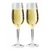 GSI | Champagne Flute Set