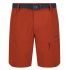 Husky | Kimbi M Shorts